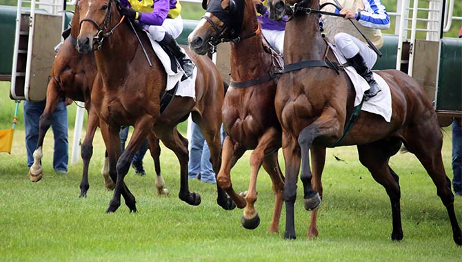 novibet irish guineas festival