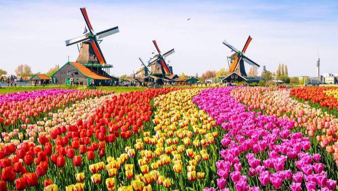 netherlandswindmills